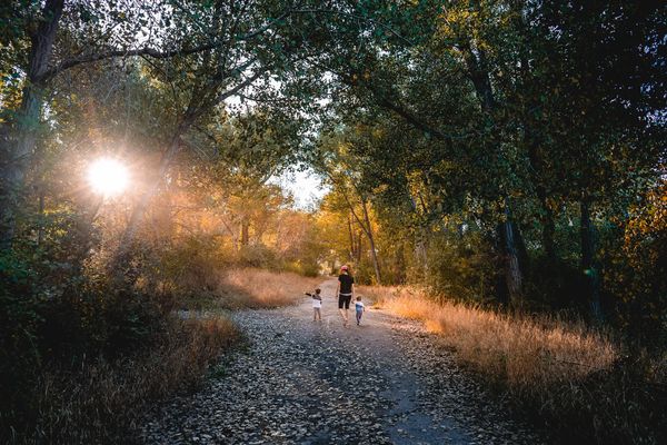 Our Top 5 Trails In Billings, MT