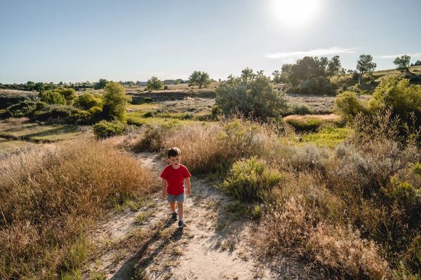 Our Top 5 Trails In Billings, MT